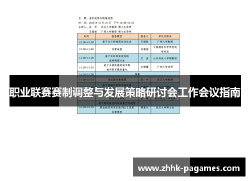 职业联赛赛制调整与发展策略研讨会工作会议指南 职业联赛赛制调整与发展策略研讨会工作会议指南