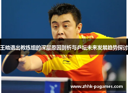 王皓退出教练组的深层原因剖析与乒坛未来发展趋势探讨